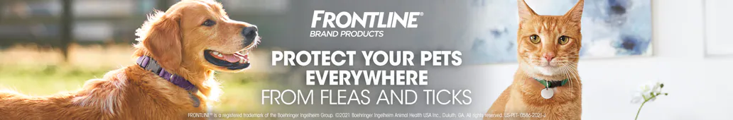 Frontline-banner